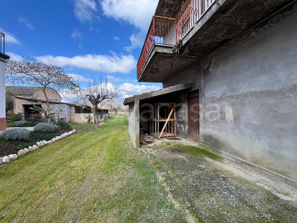 immagine annuncio 7 di 15