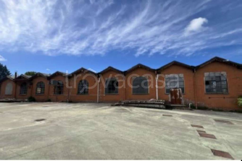 immagine annuncio 3 di 11