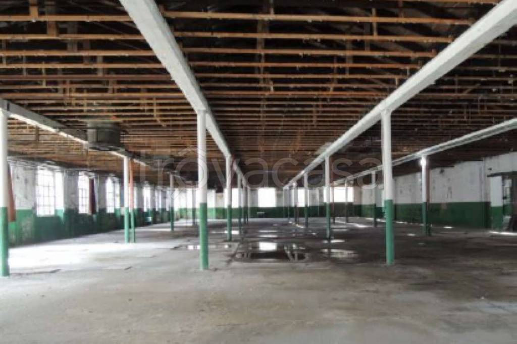 immagine annuncio 4 di 11