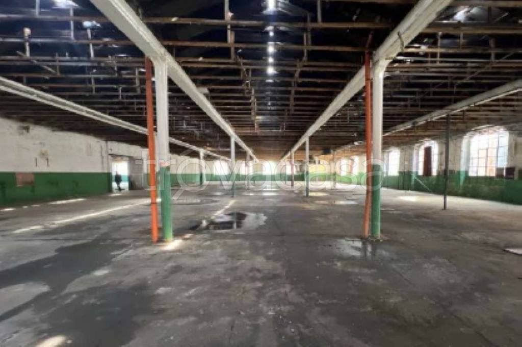 immagine annuncio 6 di 11