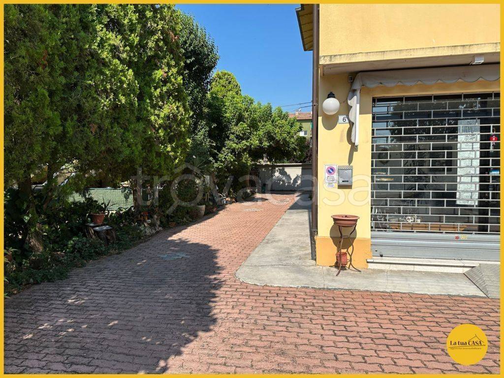 immagine annuncio 12 di 15