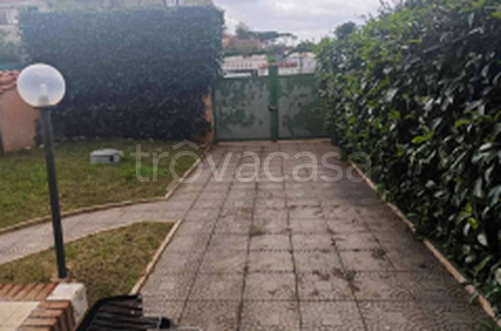 immagine annuncio 7 di 14