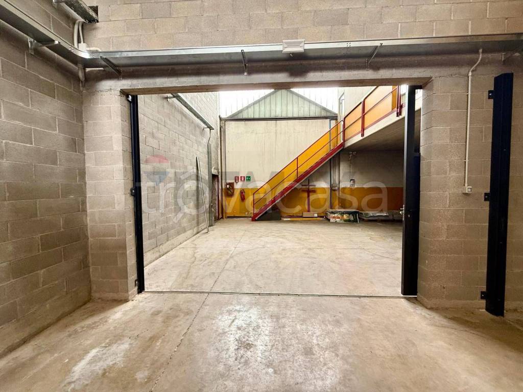 immagine annuncio 1 di 12