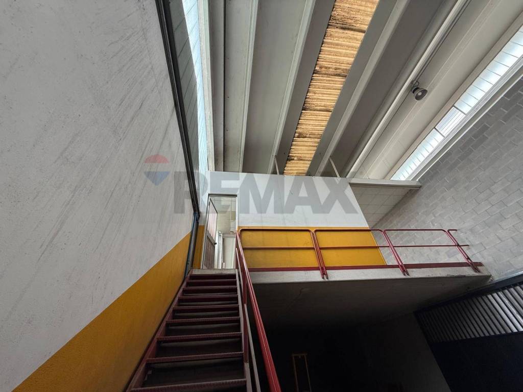 immagine annuncio 2 di 12