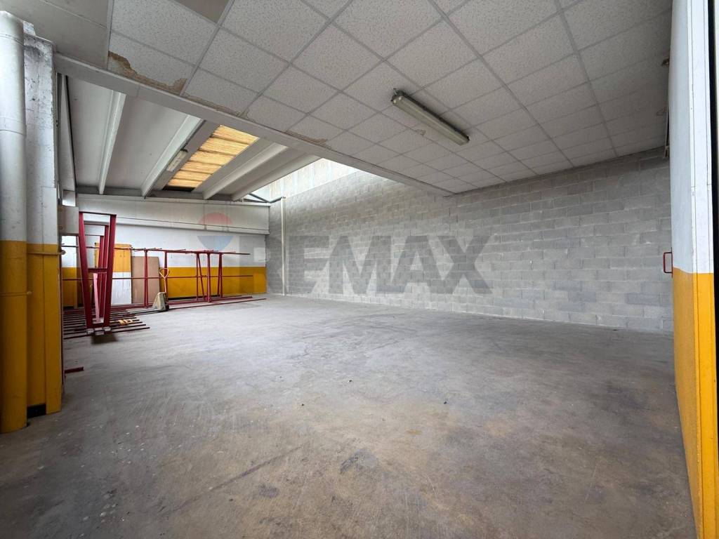 immagine annuncio 3 di 12