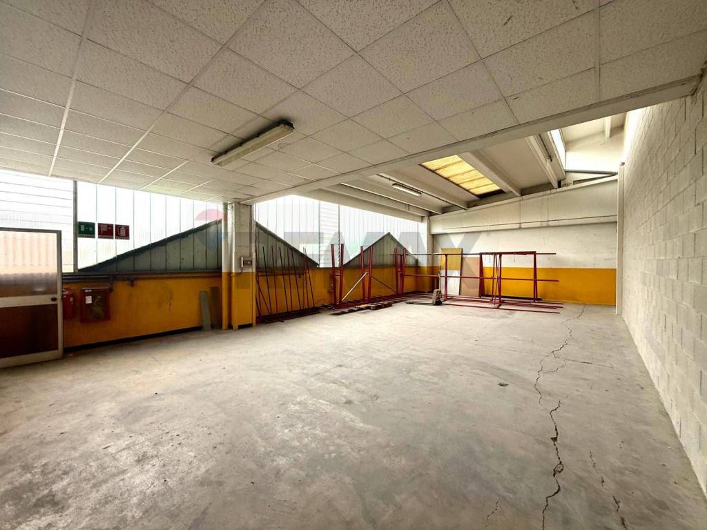 immagine annuncio 4 di 12