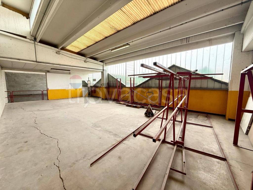 immagine annuncio 5 di 12