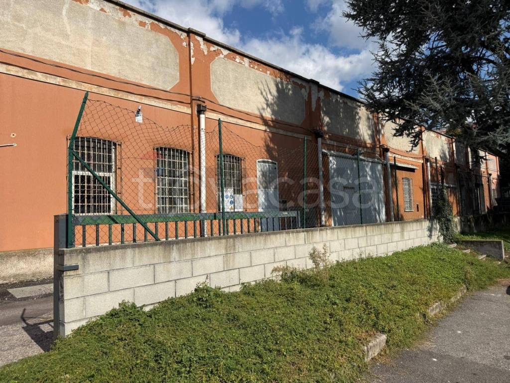 immagine annuncio 7 di 12