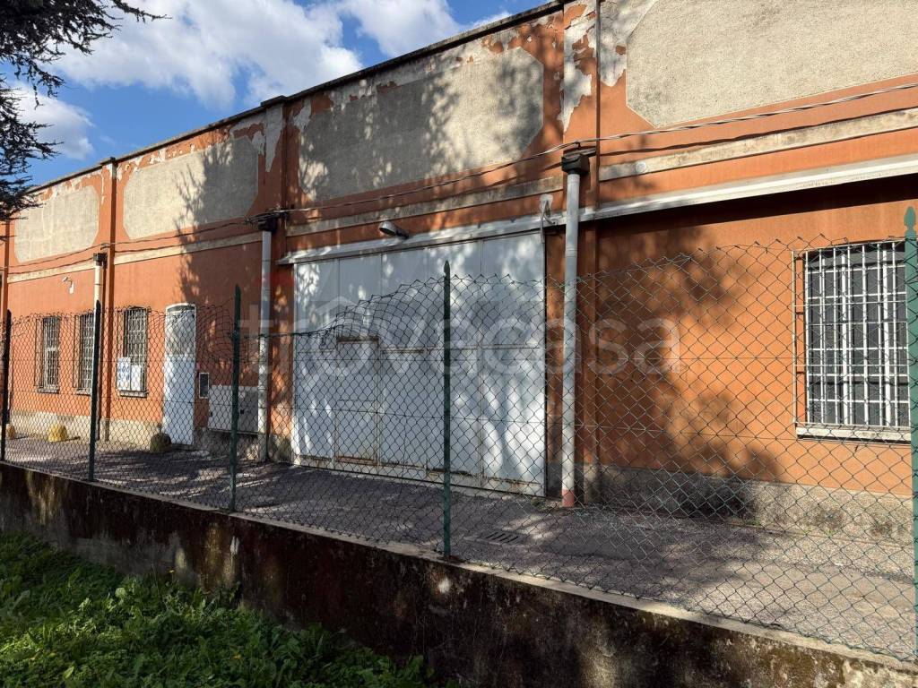 immagine annuncio 8 di 12