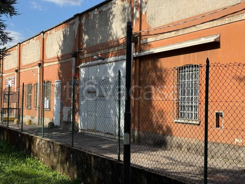 immagine annuncio 9 di 12