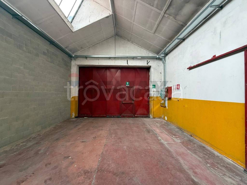 immagine annuncio 10 di 12