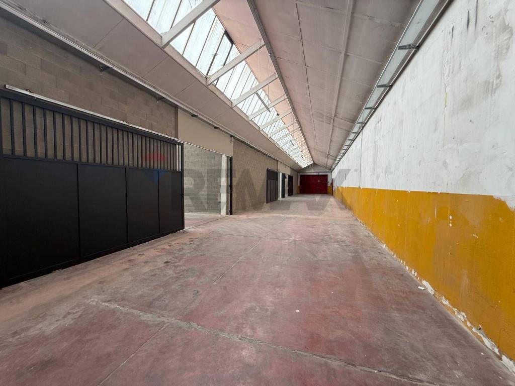 immagine annuncio 11 di 12