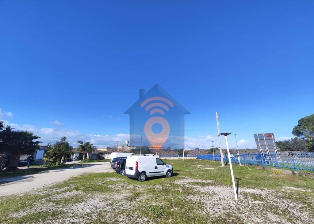 immagine annuncio 3 di 12