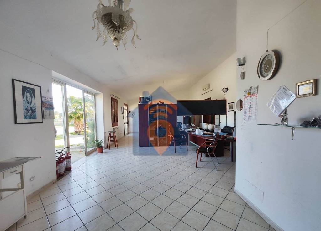 immagine annuncio 6 di 12