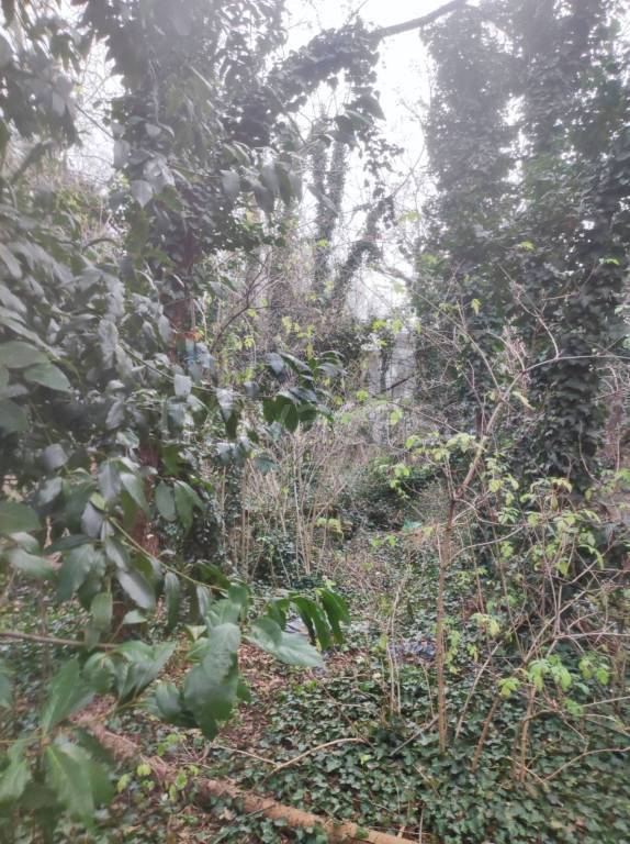 immagine annuncio 2 di 9