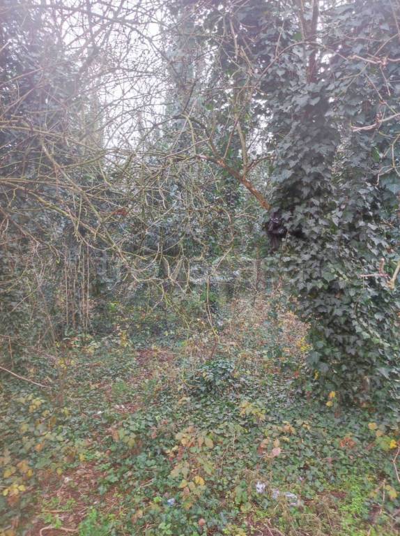 immagine annuncio 4 di 9