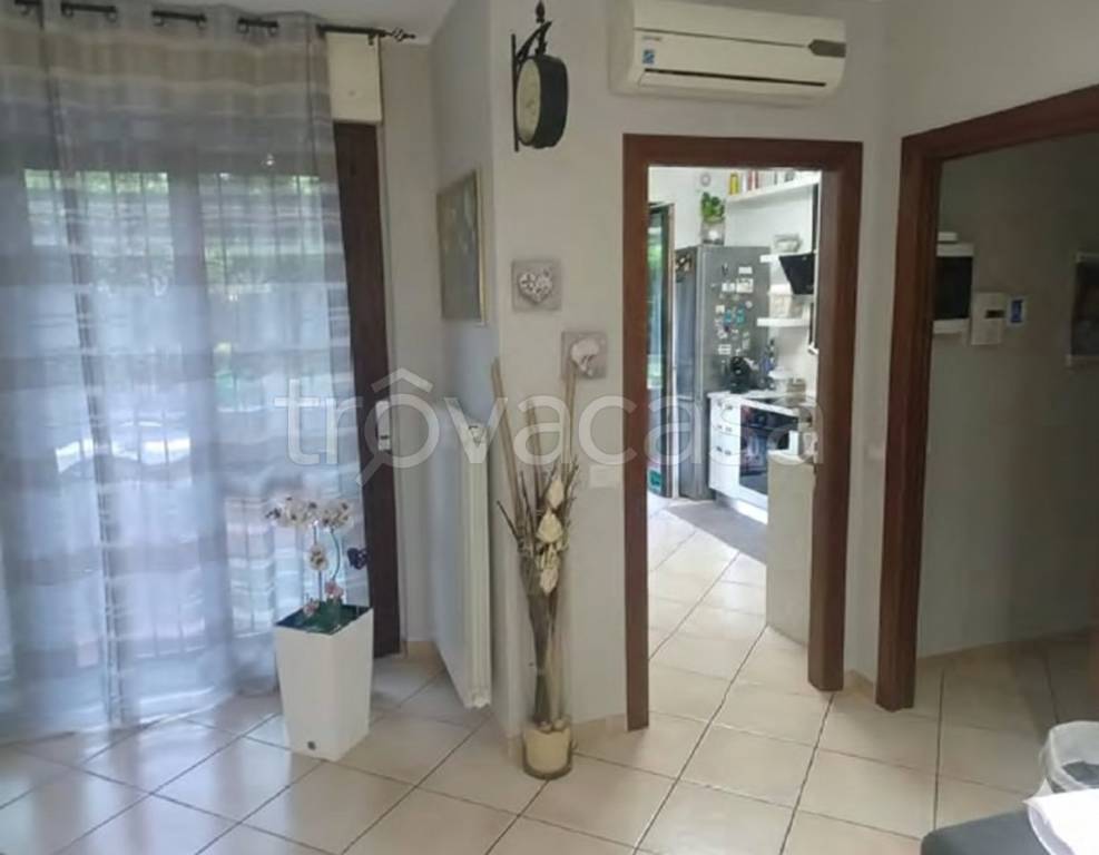 immagine annuncio 5 di 13