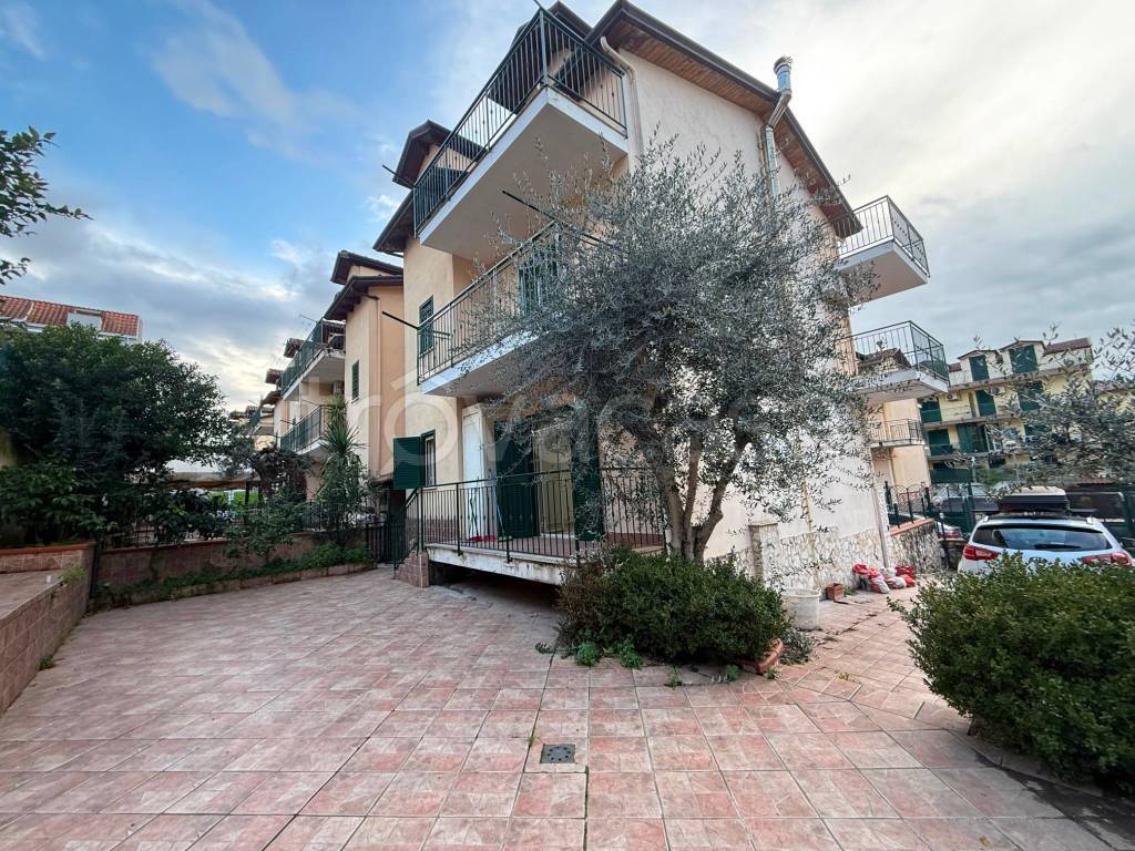 immagine annuncio 14 di 15