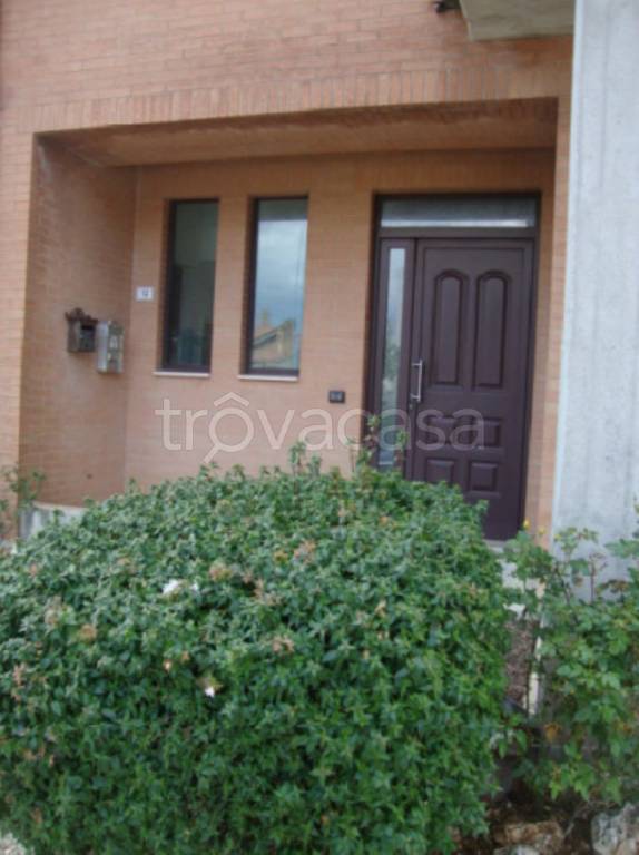 immagine annuncio 6 di 12