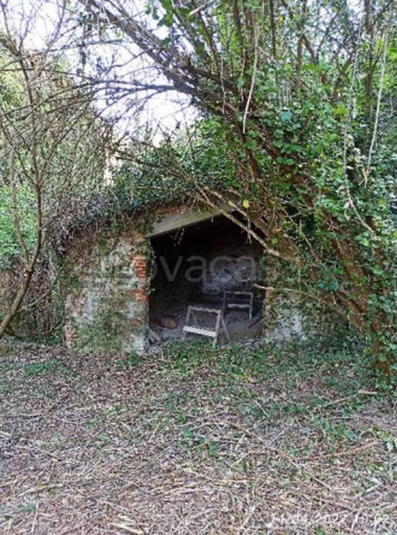 immagine annuncio 3 di 11