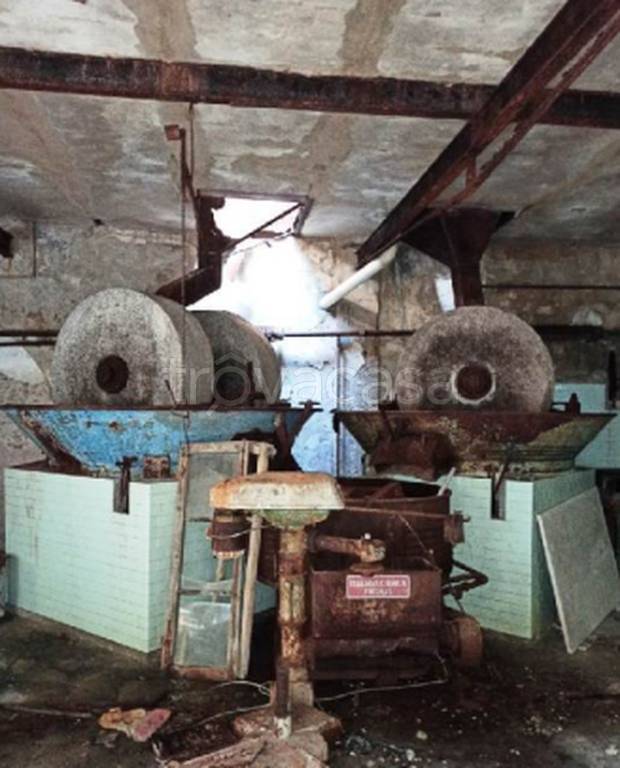 immagine annuncio 5 di 11