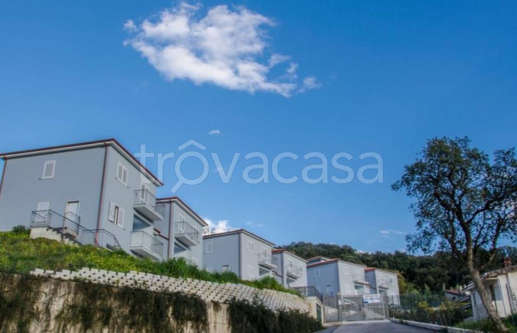 immagine annuncio 2 di 9