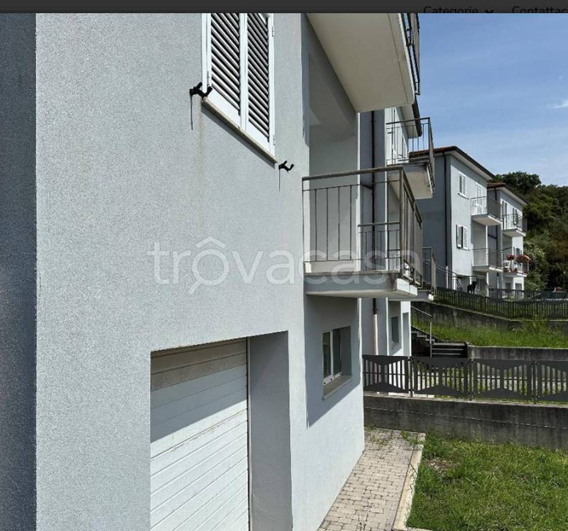 immagine annuncio 5 di 11