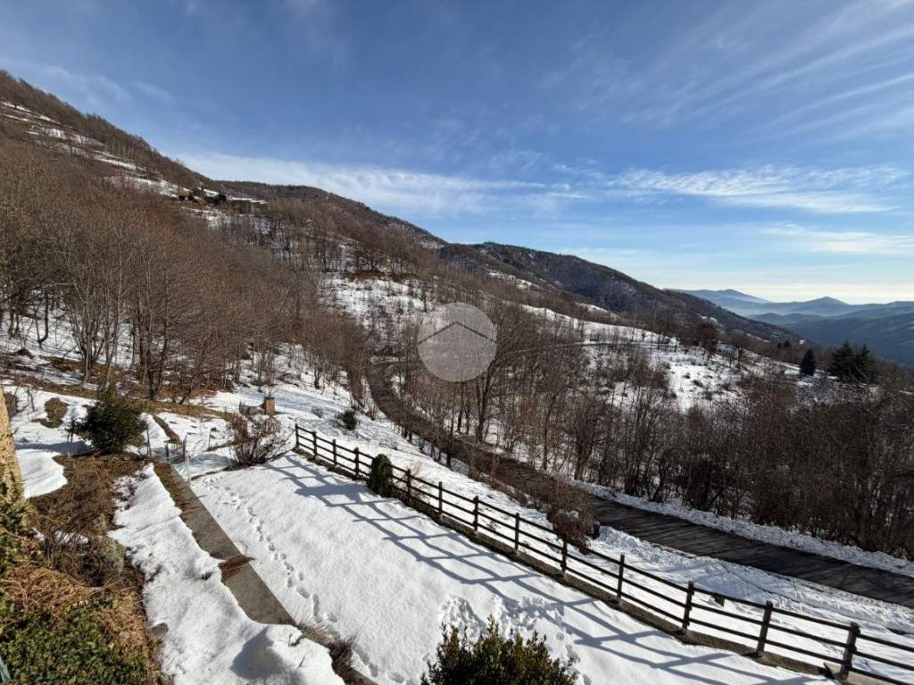 immagine annuncio 4 di 6