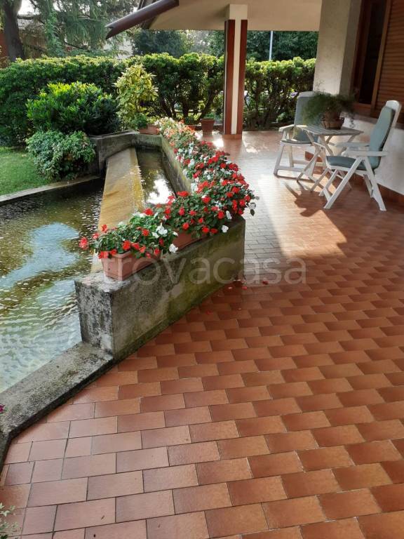 immagine annuncio 4 di 8