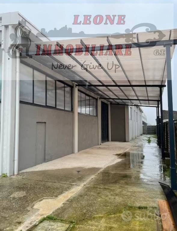 immagine annuncio 2 di 11