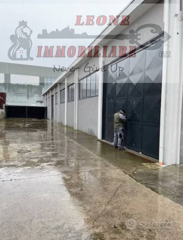 immagine annuncio 3 di 11