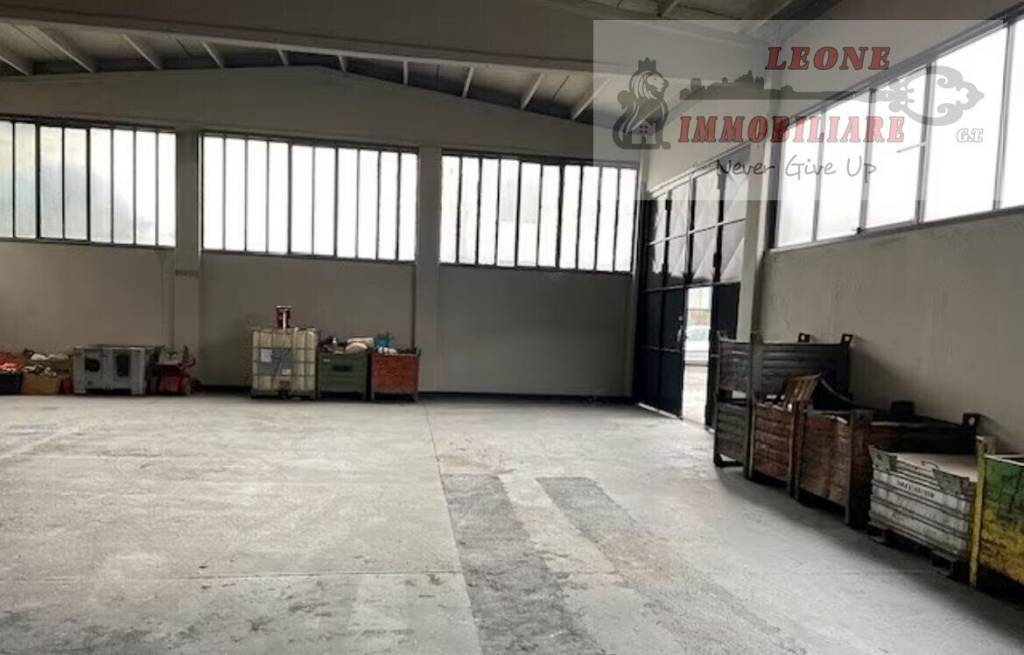 immagine annuncio 6 di 11