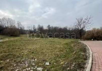 immagine annuncio 6 di 11