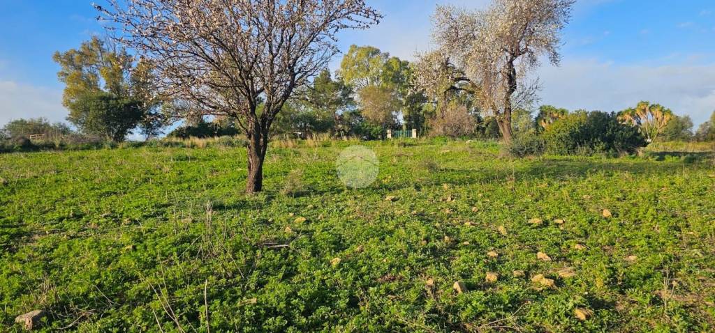 immagine annuncio 7 di 13