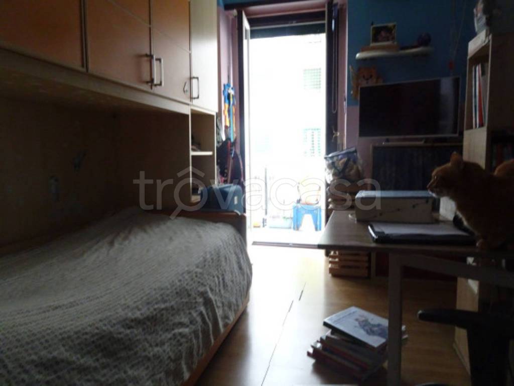 immagine annuncio 4 di 14