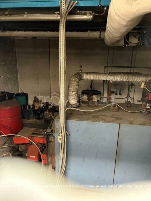 immagine annuncio 6 di 12