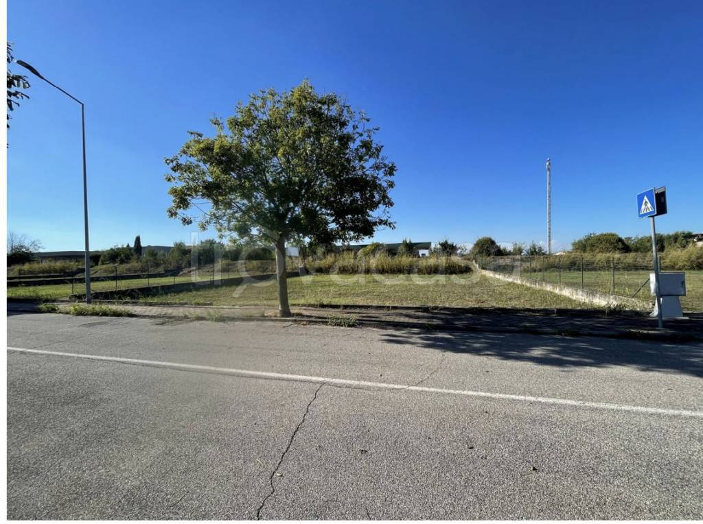 immagine annuncio 2 di 11