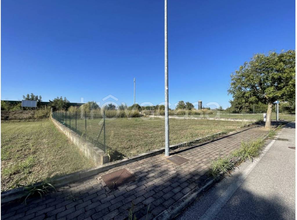 immagine annuncio 3 di 11