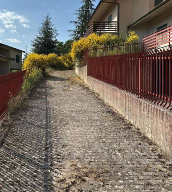 immagine annuncio 3 di 9