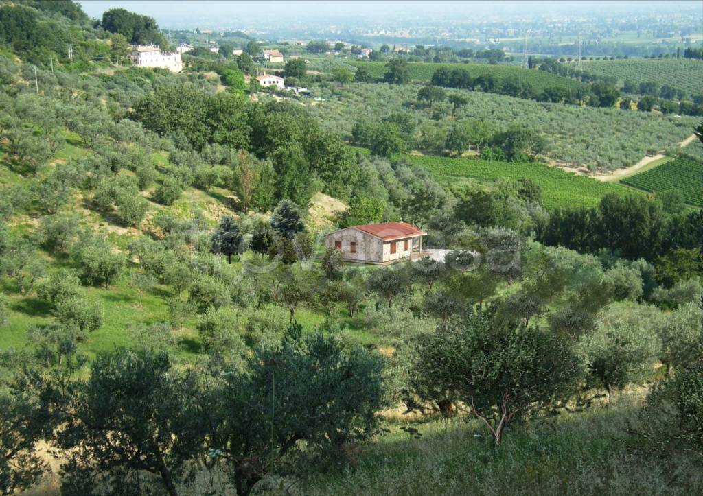 immagine annuncio 1 di 6