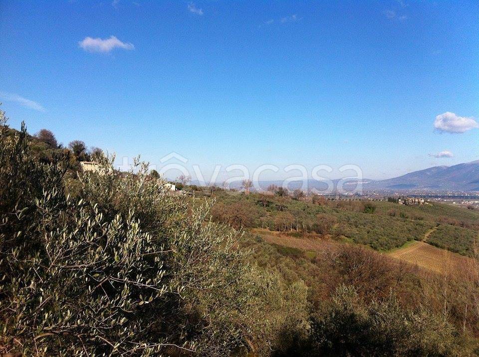 immagine annuncio 4 di 6