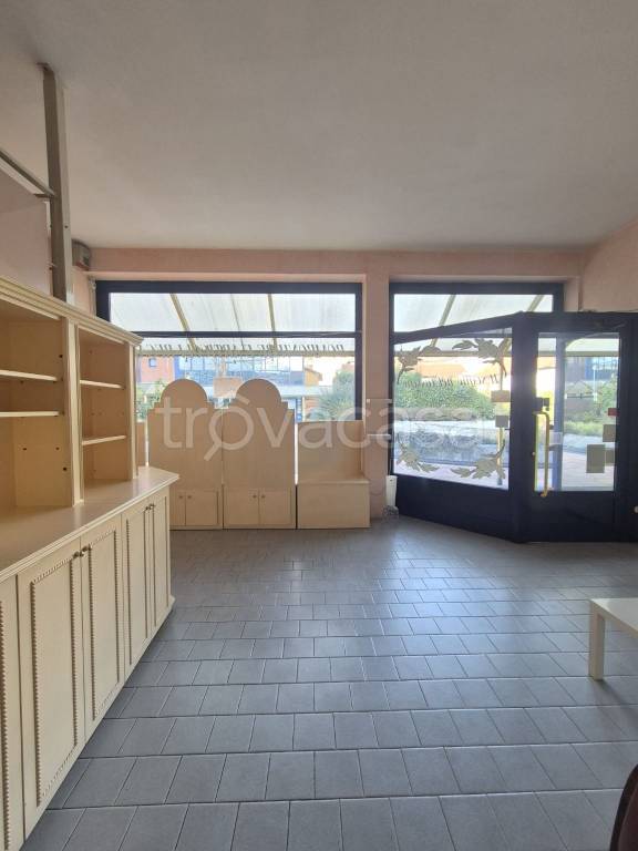 immagine annuncio 9 di 14