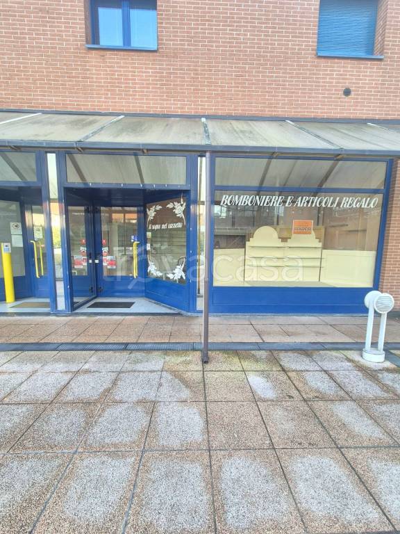 immagine annuncio 3 di 14