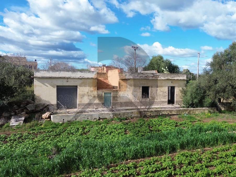 immagine annuncio 2 di 14