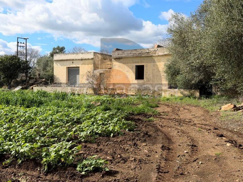 immagine annuncio 5 di 14