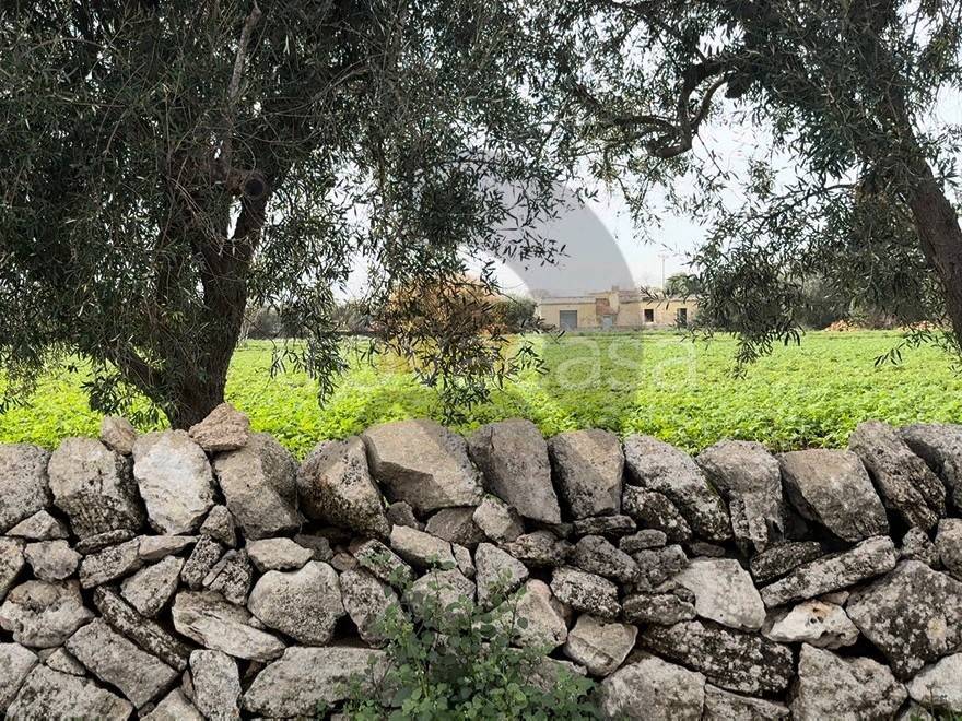 immagine annuncio 6 di 14