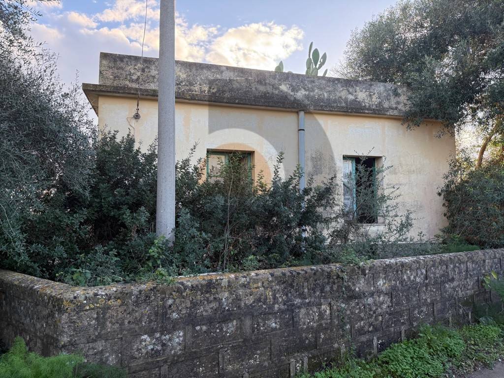 immagine annuncio 7 di 14