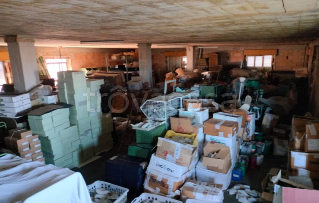 immagine annuncio 4 di 11