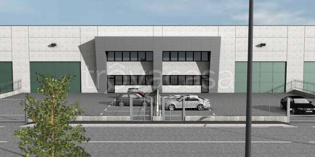 immagine annuncio 5 di 15