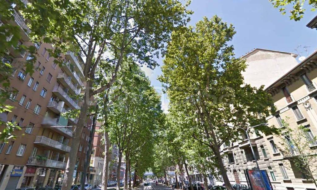 immagine annuncio 7 di 11